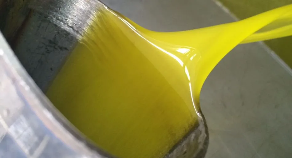 Bottiglie e campioni di olio d'oliva di diversa categoria a confronto