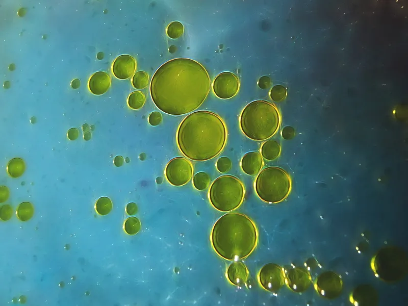 Bottiglia e ciotola di olio extravergine d'oliva