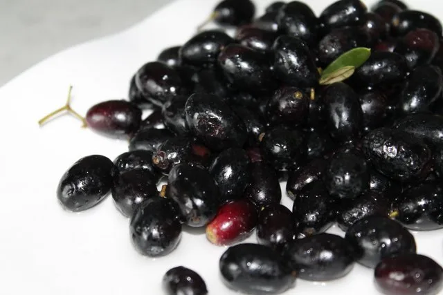 Olive nere mature pronte per la preparazione sotto sale
