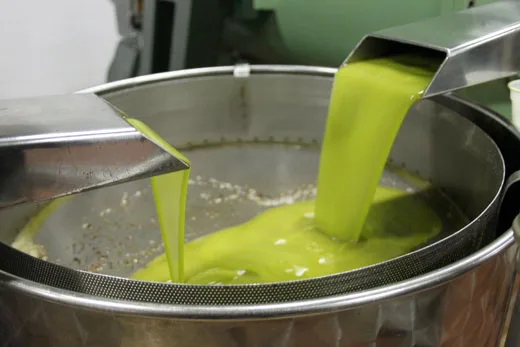 Frantoio pugliese: spremitura delle olive per la produzione di olio extravergine