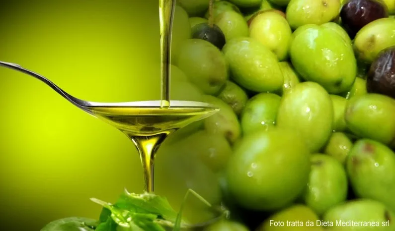 Olive raccolte pronte per la lavorazione al frantoio