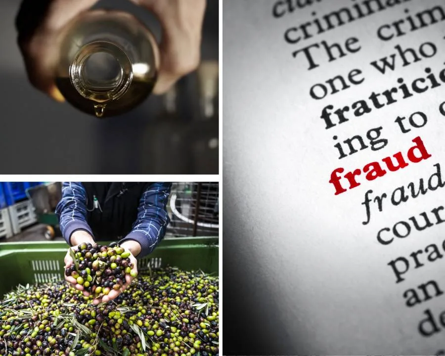 Bottiglie e documenti a simboleggiare la frode dell'olio d'oliva sulla carta