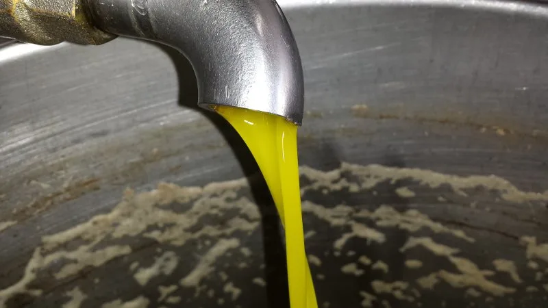Metodi di estrazione dell'olio di oliva nel frantoio