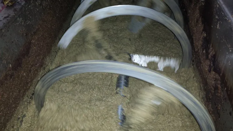 Frantoio pugliese durante la lavorazione delle olive per l'estrazione dell'olio extravergine