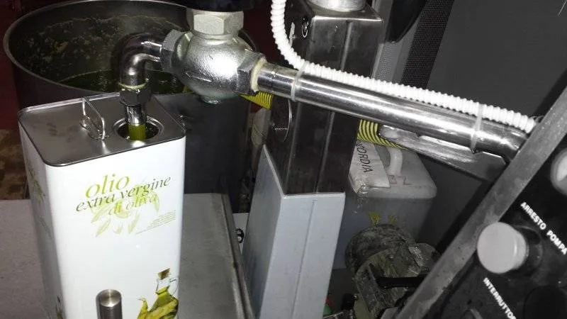 Impianto di imbottigliamento dell'olio extravergine di oliva in frantoio