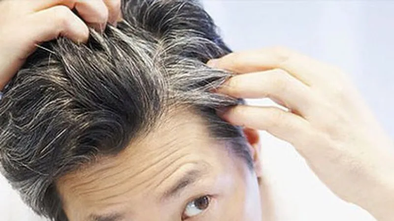 Massaggio con olio di oliva sul cuoio capelluto per la cura dei capelli