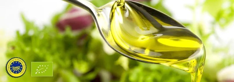 Olive appena raccolte pronte per la lavorazione biologica in frantoio
