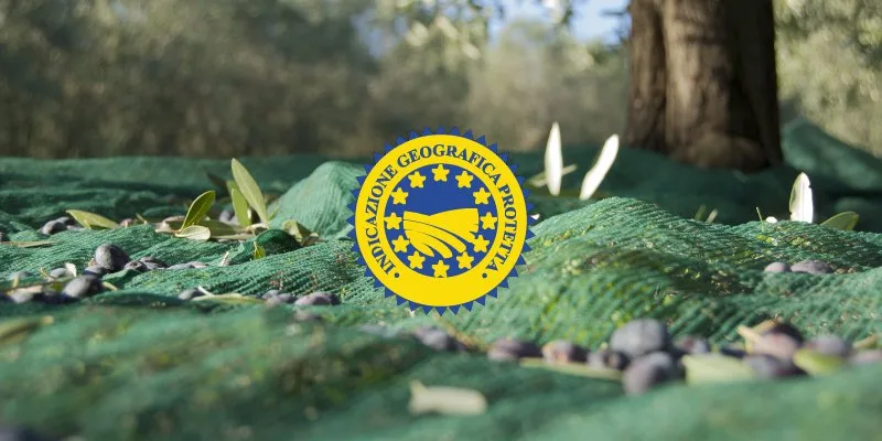 Bottiglie di olio extravergine con etichette DOP e IGP pronte per la vendita