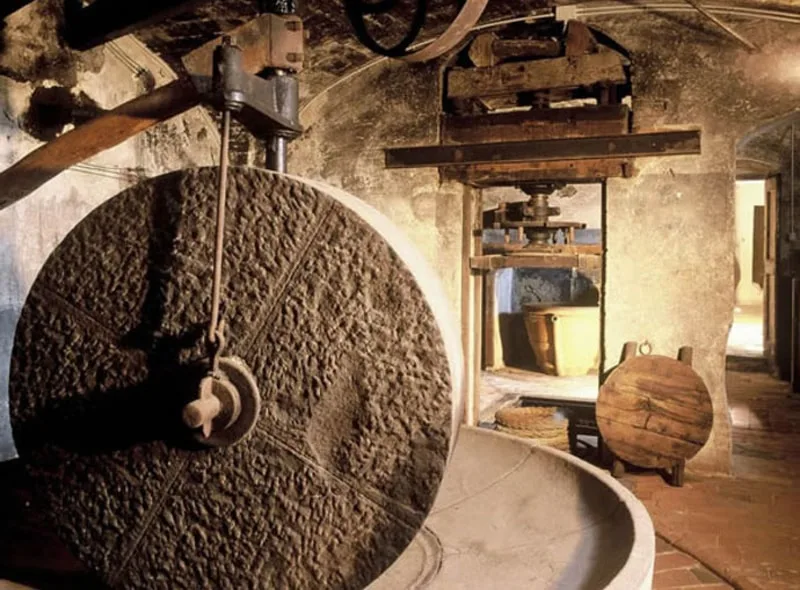Frangitura delle olive in un frantoio oleario pugliese