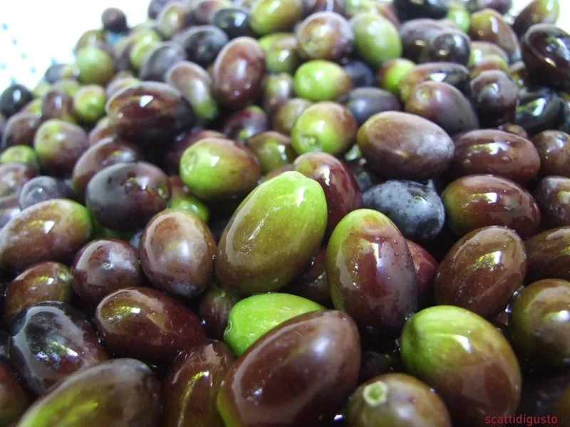 Olio extravergine di oliva pugliese Peranzana in bottiglia, prodotto artigianale con vendita diretta