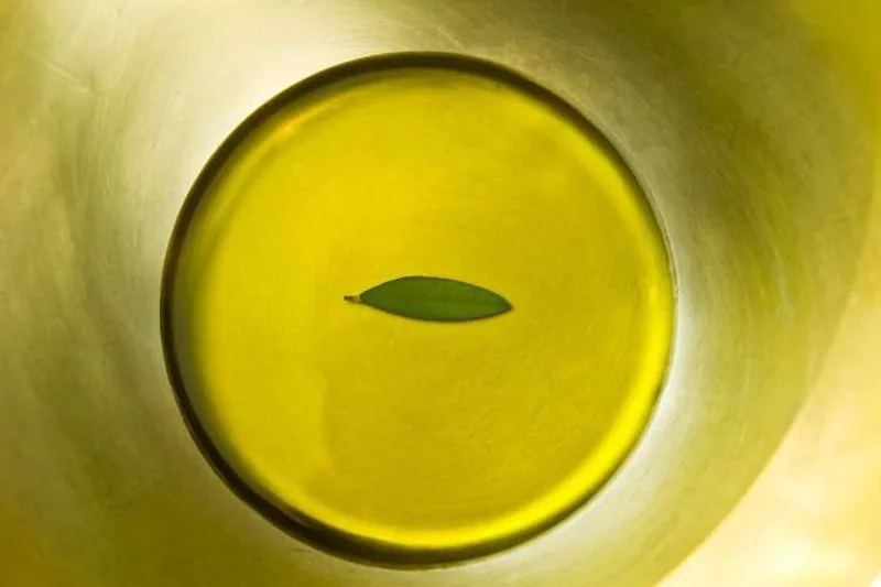 Bottiglia e analisi di olio extravergine per la certificazione HS - High Standard