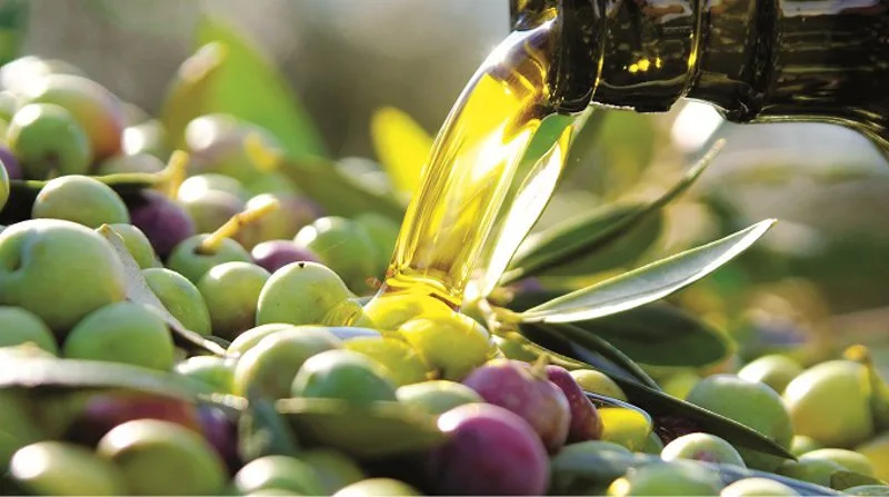 Bottiglia e assaggio di olio extravergine di oliva pugliese