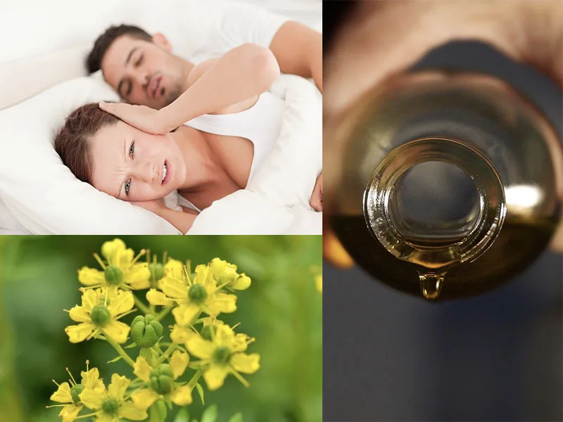 Olio di oliva e ruta usati come rimedio naturale contro il russare