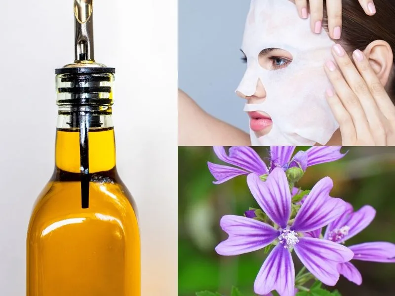 Fiori di malva e olio extravergine di oliva per la maschera lenitiva viso