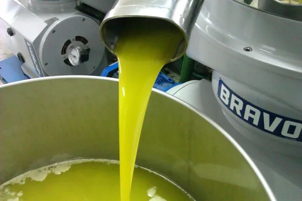 Interno del frantoio Cristofaro durante la lavorazione delle olive