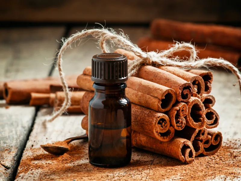 Bottiglia di olio extravergine di oliva con stecche di cannella