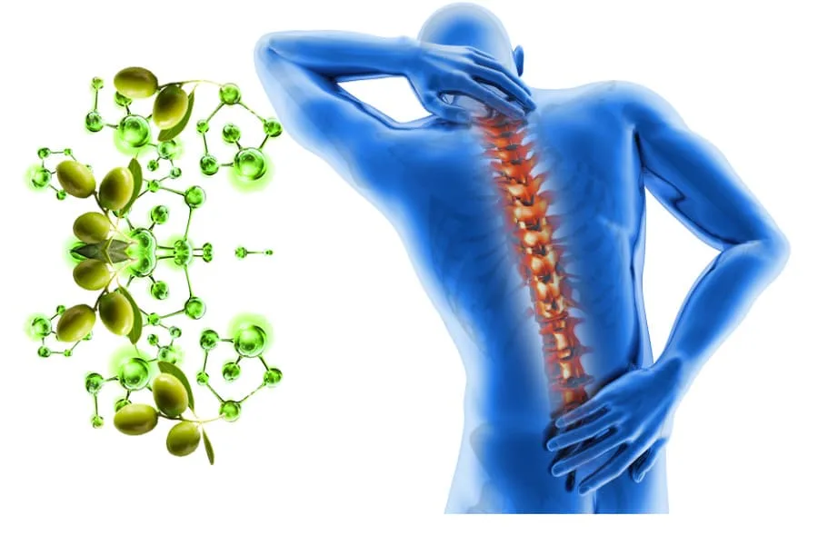 Bottiglia di olio extravergine e ossa, simbolo della prevenzione dell'osteoporosi