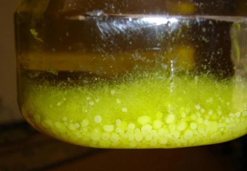 Bottiglia di olio extravergine con macchie bianche visibili sul fondo dovute al freddo