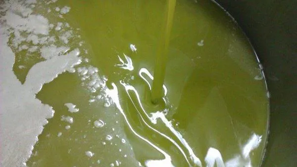 Olio extravergine pugliese non filtrato appena spremuto in frantoio