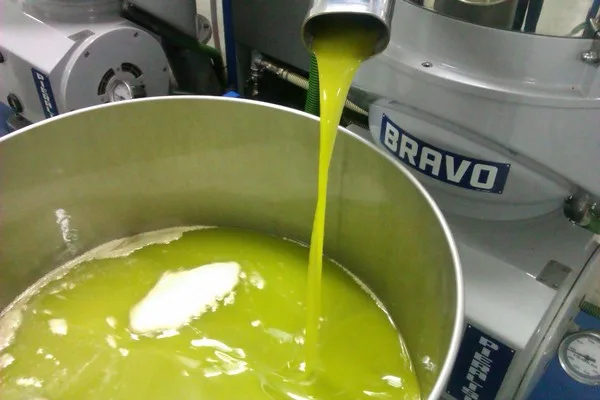 Interno del frantoio Cristofaro durante la lavorazione delle olive