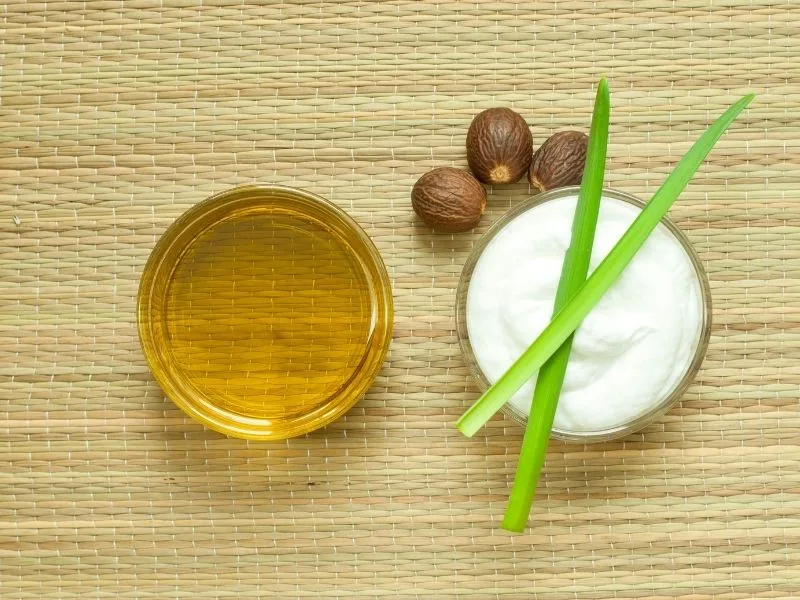 Panna vegetale fatta in casa con Olio Extravergine di Oliva servita in coppetta