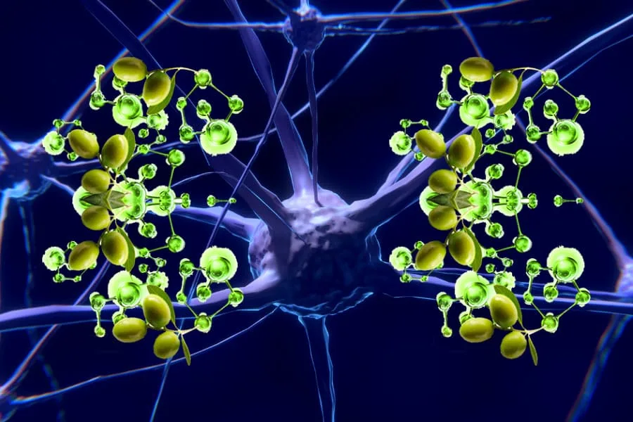 Olio extravergine di oliva come integratore alimentare per la salute del cervello