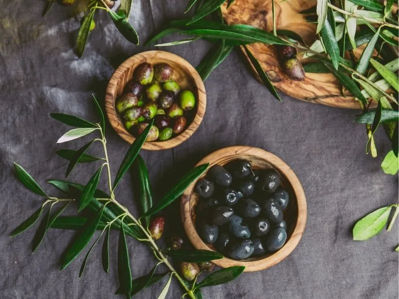 Olive raccolte pronte per la deamarizzazione