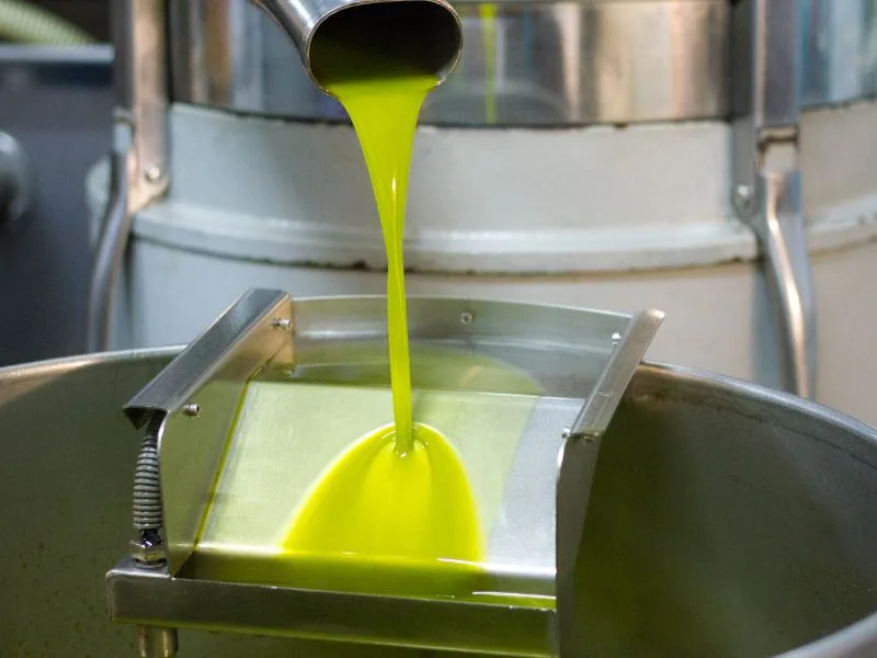 Bottiglie di olio d'oliva a confronto: riconoscere l'olio contraffatto dall'extravergine genuino