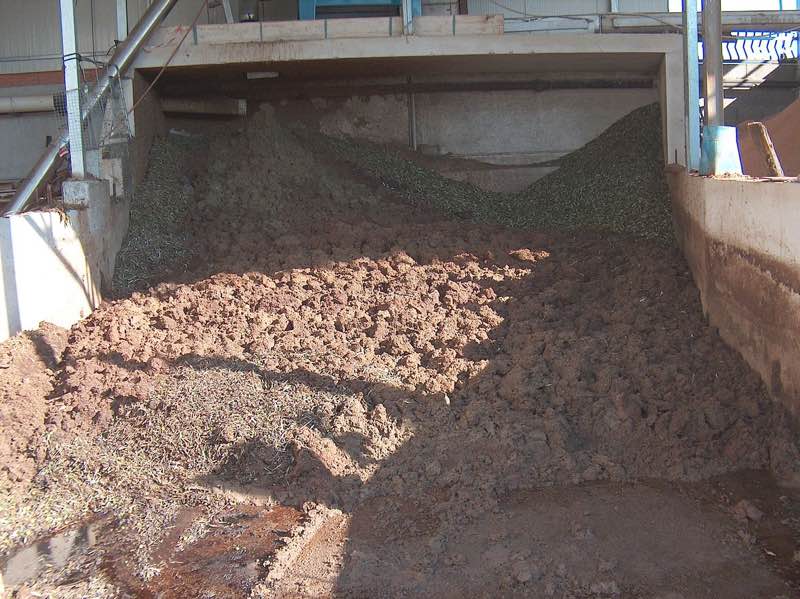 Sansa di oliva, residuo della spremitura da cui si ricava l'olio di sansa
