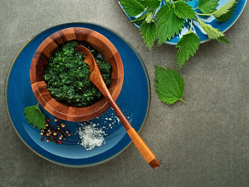 Pesto di ortica fresco preparato con olio extravergine di oliva biologico