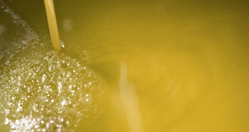 Deposito di morchia sul fondo di una bottiglia di olio extravergine non filtrato