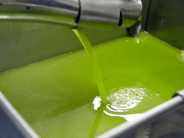Antico sistema di lavorazione delle olive e macine in pietra
