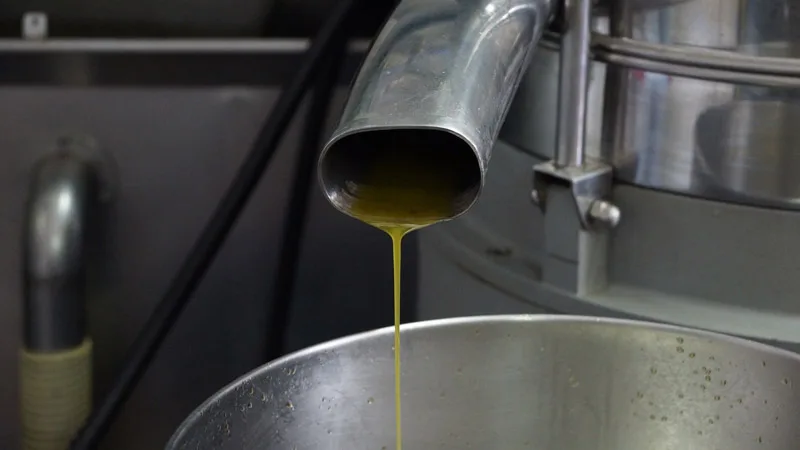 Bottiglie e taniche di olio extravergine di oliva pronte in frantoio