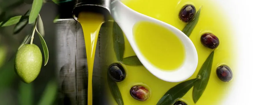 Assaggiatore che valuta il flavour di un olio extravergine d'oliva in un bicchierino da degustazione
