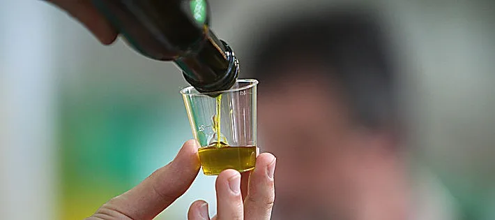 Assaggio sensoriale dell'olio extravergine di oliva in bicchierino da degustazione