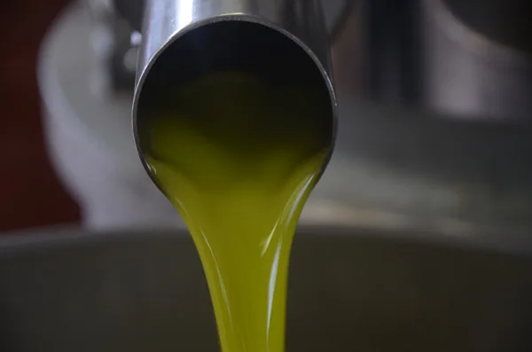 Bottiglia di olio extravergine di oliva biologico estratto a freddo Olio Cristofaro