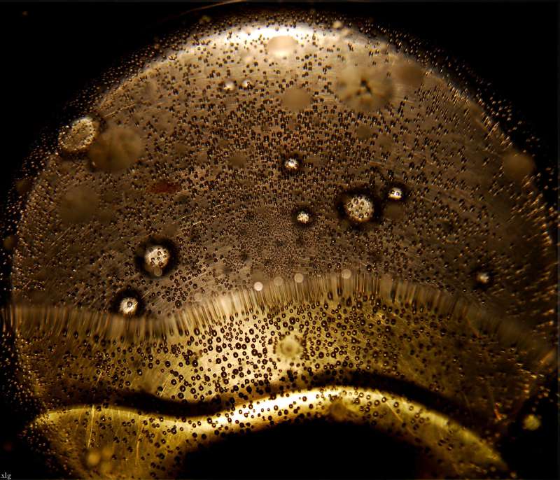 Bottiglia e goccia di olio extravergine di oliva su sfondo naturale, simbolo dei trigliceridi contenuti nell'olio