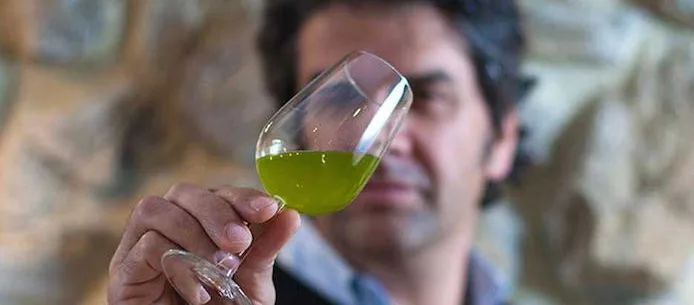 Bicchiere di degustazione con olio extravergine durante un'analisi sensoriale