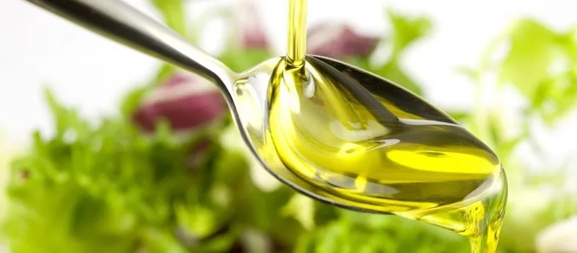Uliveti pugliesi e olive appena raccolte, simbolo del futuro marchio IGP Olio di Puglia