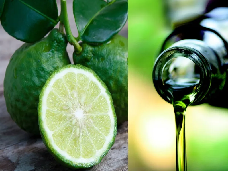 Bottiglia di olio extravergine con scorze di bergamotto in infusione