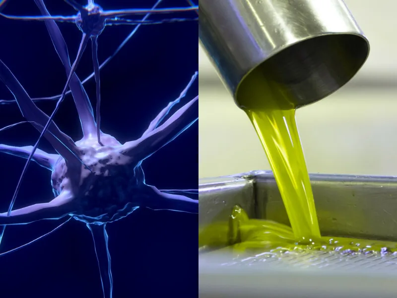 Bottiglia di olio extravergine Olio Cristofaro, fonte di idrossitirosolo