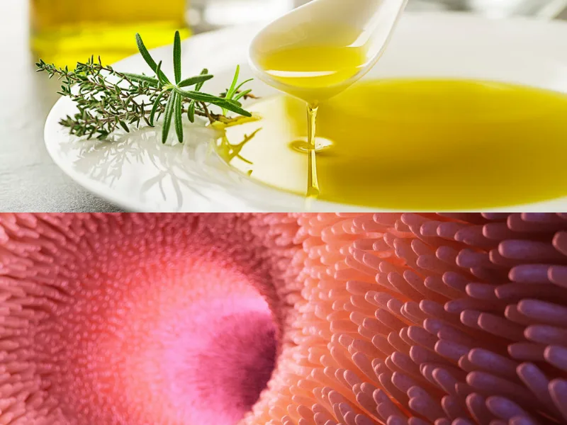Bottiglia di olio extravergine di oliva versato, protagonista dello studio sulla colite ulcerosa