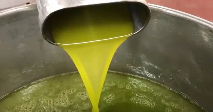 Bottiglie di olio extravergine pronte per la spedizione tramite e-commerce