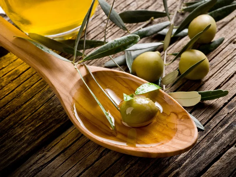 Ulivi secolari pugliesi al tramonto, simbolo delle antiche cultivar del territorio