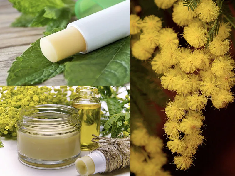 Balsamo labbra fatto in casa con olio extravergine di oliva e cera di mimosa