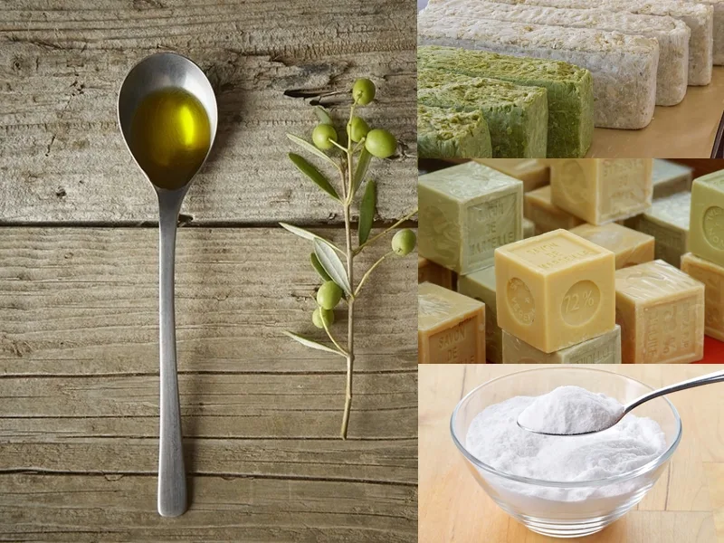 Foglie di pianta trattate con antiparassitario naturale a base di olio di oliva