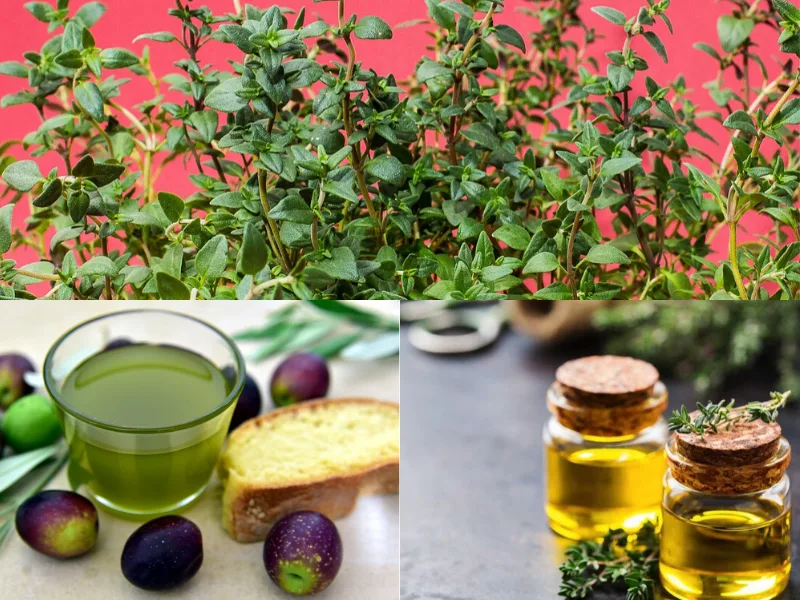 Bottiglia di olio extravergine aromatizzato con rametti di timo
