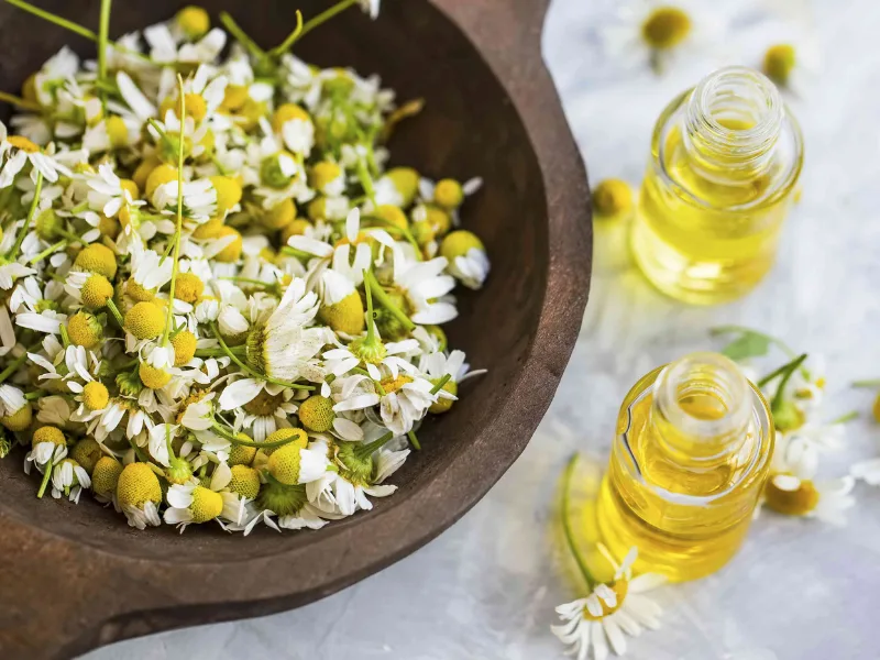 Olio extravergine versato in un barattolo per la preparazione dell'oleolito
