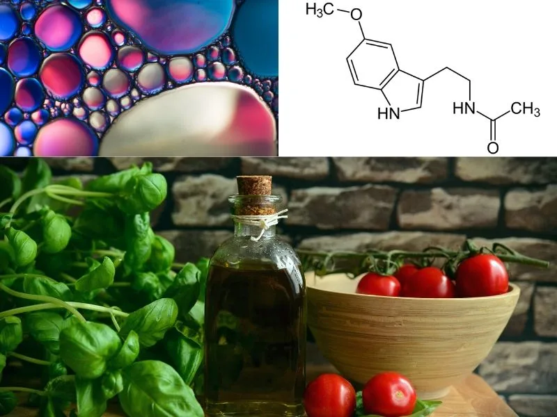 Bottiglia di olio extravergine di oliva Cristofaro in penombra, evocativa del riposo notturno