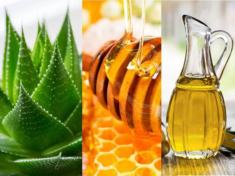 Gel di aloe vera, miele e olio d'oliva ingredienti per il rimedio contro la tosse cronica